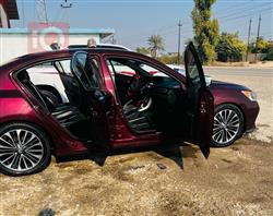 هوندا أكورد